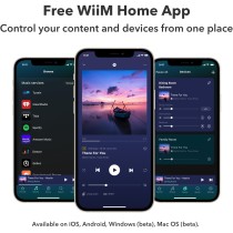 WiiM Wzmacniacz: Wzmacniacz strumieniowy Multiroom z AirPlay 2, Chromecast, HDMI i sterowaniem głosowym - przesyłanie